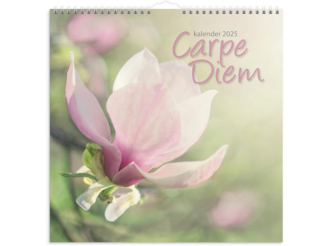 Burde Väggkalender 2025 Carpe Diem, st