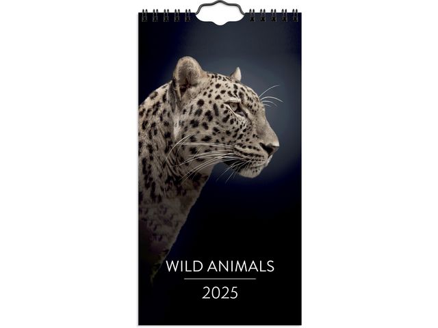 Burde Väggkalender 2025 Wild animals, st