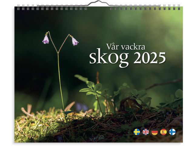 Burde Väggkalender 2025 Vår vackra skog, st