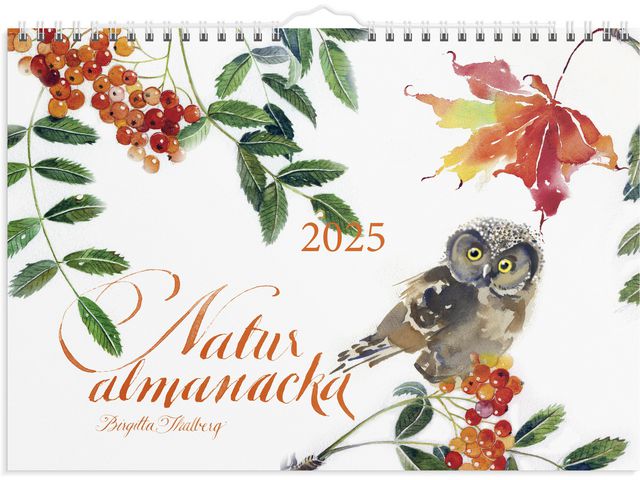 Burde Väggkalender 2025 Naturalmanacka, st