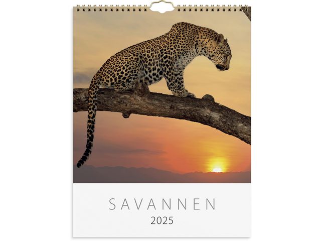 Burde Väggkalender 2025 Savannen, st