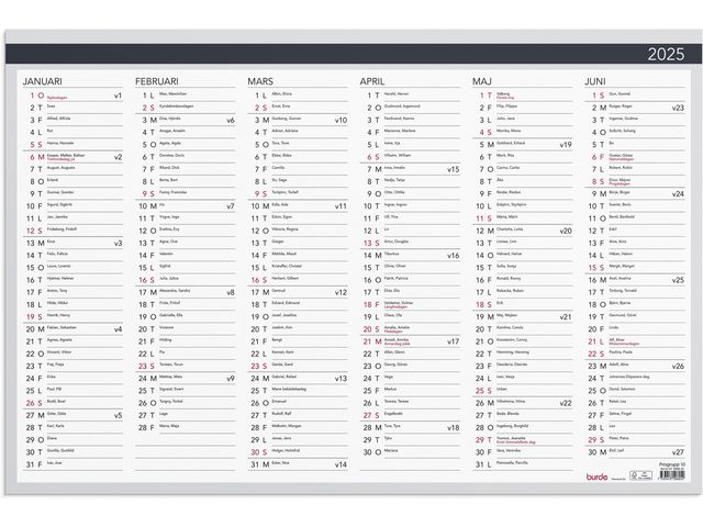 Burde Väggkalender 2025 Väggblad Elegant 600x400mm, st