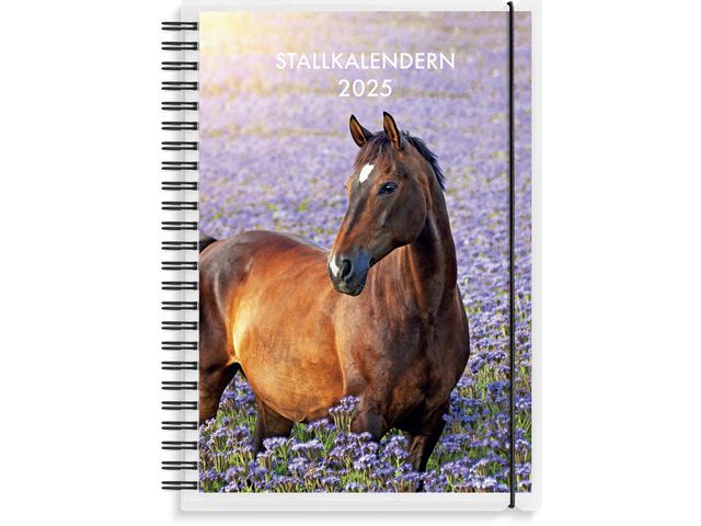 Burde Kalender 2025 Stallkalendern, st