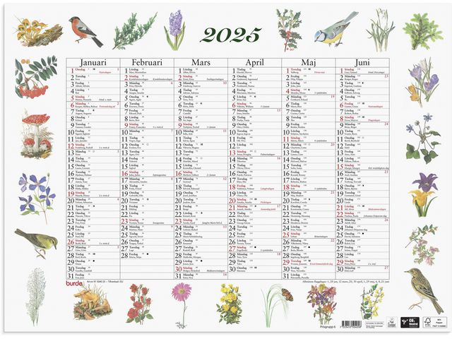 Burde Väggkalender 2025 Stora Naturalmanackan, st