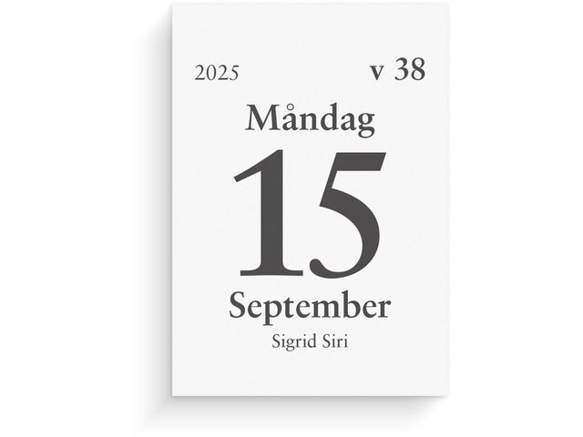 Burde Kalender 2025 Dagblock 75x107 mm, st