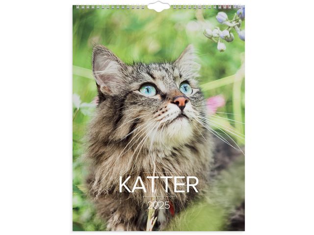 Burde Väggkalender 2025 Stora Kattkalendern, st