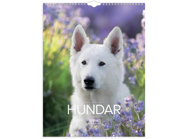 Burde Väggkalender 2025 Stora Hundkalendern, st