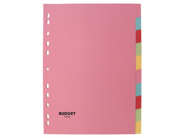 Lyreco BUDGET Kartongregister A4 10-flik pastel, st