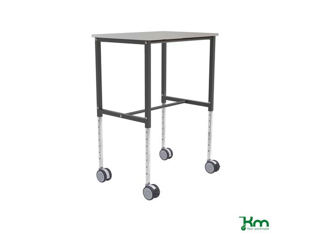 Rullbord Ergonomiskt 800x570x720mm, st