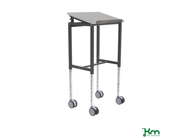 Rullbord Ergonomiskt 600x400x720mm, st