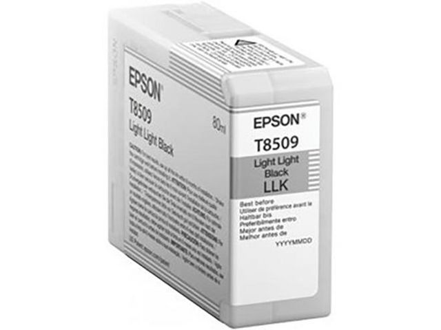 Epson Bläckpatron T850900 l-l-svart, st