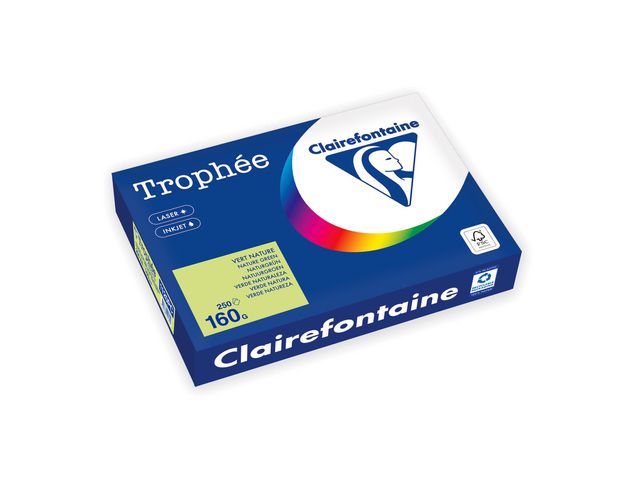 Clairefontaine Kopieringspapper A4 160g ohålat naturgrön, bunt om 250 blad