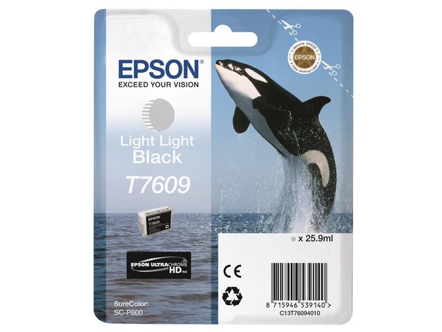 Epson Bläckpatron C13T76094010 Light Sva, st
