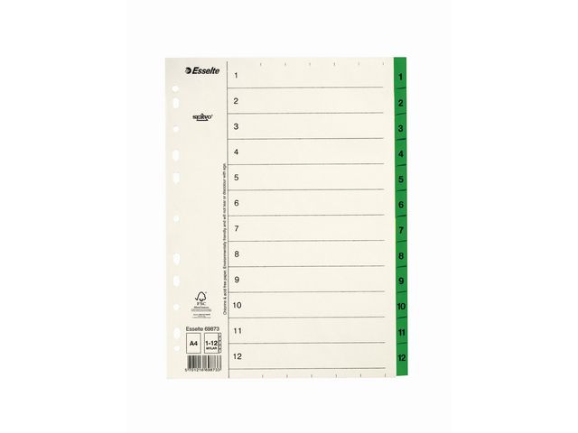 Esselte Pappregister Servo A4 1-12 grön, st