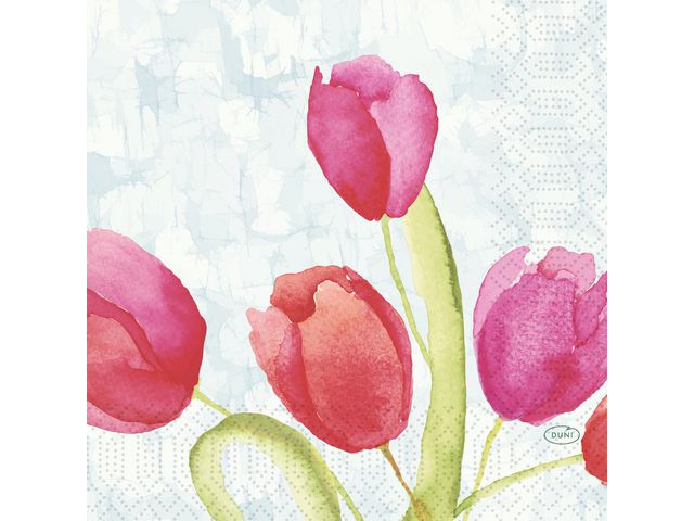 Duni Servetter Tulips 3-lags 33X33cm, fp om 50 st