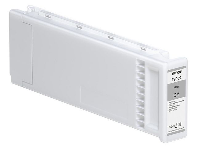 Epson Bläckpatron C13T800900 Grå, st