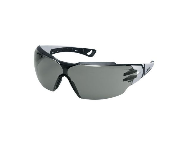Uvex Skyddsglasögon Pheos cx2 Mörk, st