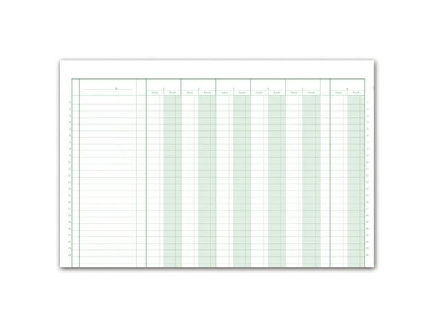 Esselte Journalbok 366/48 11D 5E, st