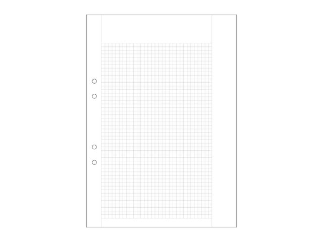 Provskrivningspapper A4, vitt 70g hålat papper, rutat 5x5mm, fp om 500 st