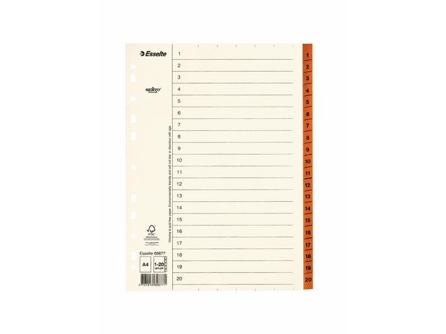 Esselte Pappregister Servo A4 1-20 brun, st