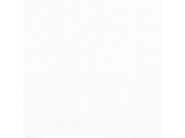 Duni Engångsservett, 1-lagers, enfärgad, 33 cm, vit, fp om 500 st