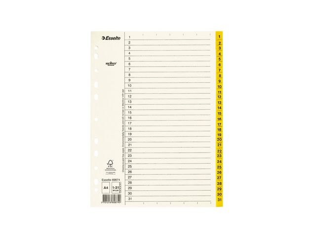 Esselte Pappregister Servo A4 1-31 gul, st
