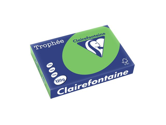 Clairefontaine Trophée A4 120 g färgat papper grön, bunt om 250 blad