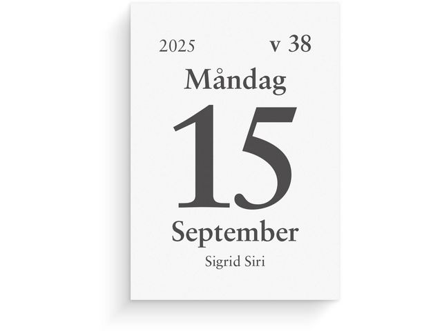 Burde Kalender 2025 Dagblock 44x63 mm, st