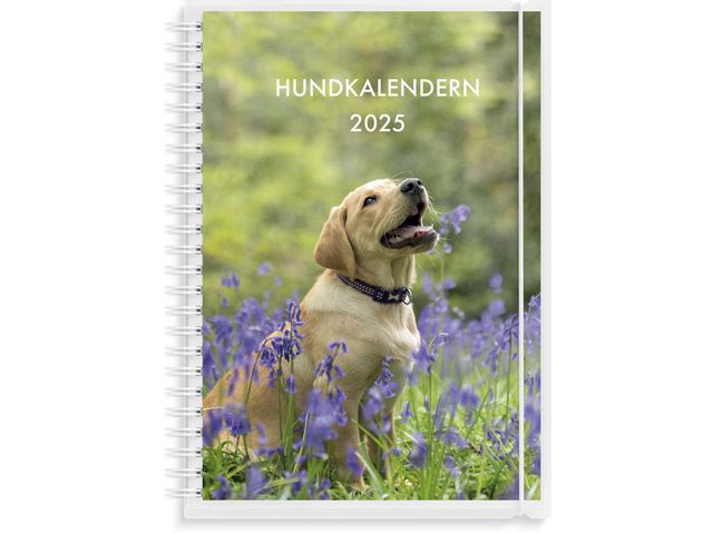 Burde Kalender 2025 Hundkalendern, st