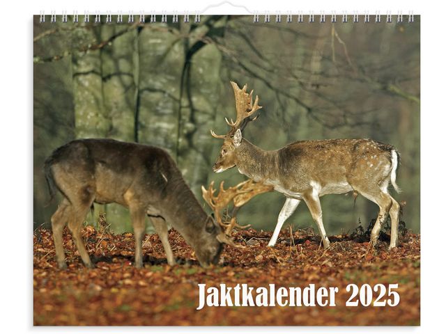 Burde Väggkalender 2025 Jaktkalender, st