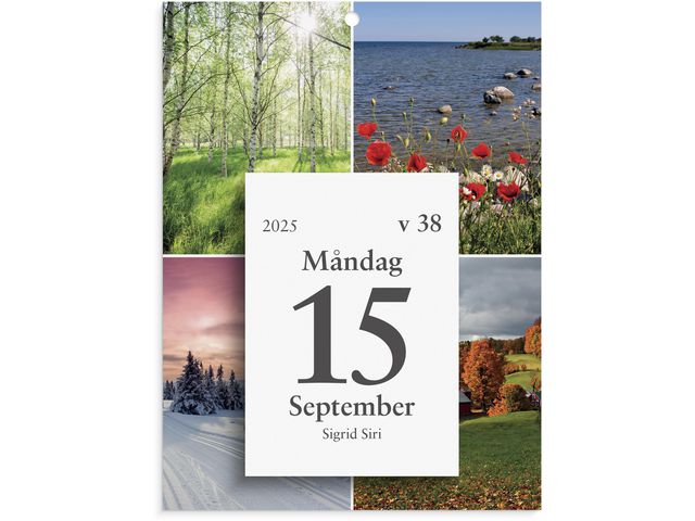 Burde Kalender 2025 Väggplån med dagblock Årstiderna, st
